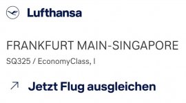 Ausgleich_FRA_SIN.jpg