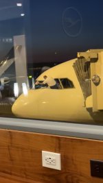 IMG_3900.jpeg