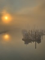IMG_7543.JPEG