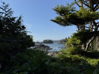 IMG_8043.JPEG