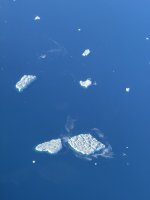 IMG_6853.JPEG