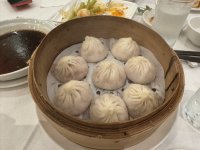 IMG_8337.JPEG