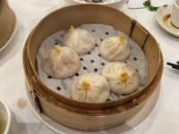 IMG_8341.JPEG