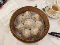IMG_8348.JPEG