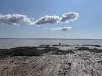 IMG_1933.JPG