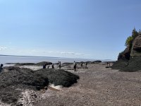IMG_1934.JPG