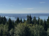 IMG_6970.JPEG