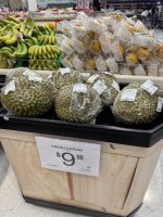 IMG_6996.JPEG