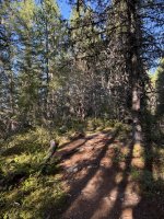 IMG_7008.JPEG