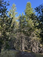 IMG_7010.JPEG