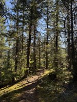 IMG_7012.JPEG