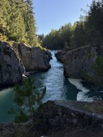 IMG_7024.JPEG