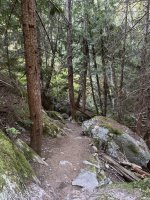 IMG_7026.JPEG