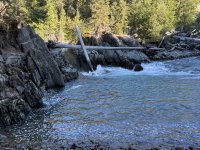 IMG_7030.JPEG
