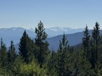 IMG_7154.JPEG