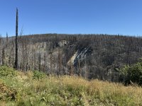 IMG_7160.JPEG