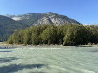 IMG_7181.JPEG