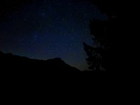 IMG_7239.JPEG
