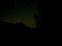 IMG_7247.JPEG