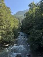IMG_7272.JPEG