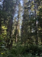 IMG_7304.JPEG
