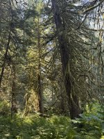 IMG_7306.JPEG