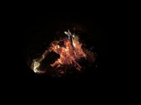 IMG_7325.JPEG