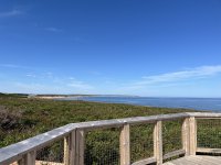 IMG_2022.JPG