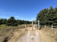 IMG_2032.JPG