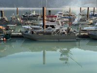 IMG_7335.JPEG