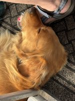 IMG_7402.JPEG