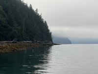 IMG_7400.JPEG