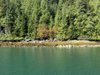 IMG_7411.JPEG