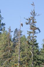 20250825-28-BellaCoola-HotSpringTour-50a.jpg