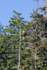 20250825-28-BellaCoola-HotSpringTour-54a.jpg
