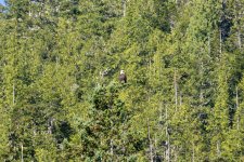 20250825-28-BellaCoola-HotSpringTour-55a.jpg
