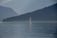 20250825-28-BellaCoola-HotSpringTour-38a.jpg
