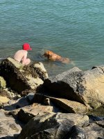 IMG_7420.JPEG