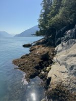 IMG_7433.JPEG