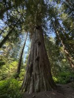 IMG_7462.JPEG