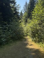 IMG_7468.JPEG