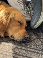 IMG_7489.JPEG