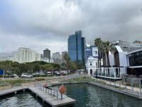 IMG_5278.jpeg