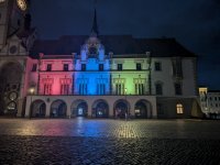 PXL_20250726_192504493.NIGHT.jpg