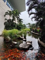 IMG_20250531_151858.jpg