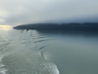 IMG_7557.JPEG
