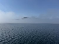IMG_7564.JPEG