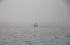 20250825-28-Fähre-BellaCoola-PortHardy-19a.jpg