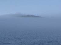 IMG_7569.JPEG