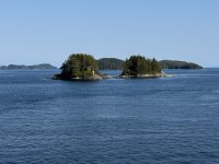 IMG_7580.JPEG